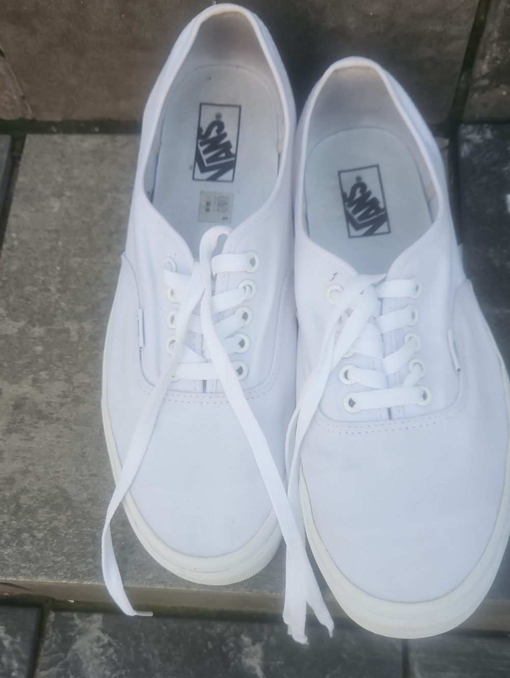 Vans White Canvas Low-Top Sneakers